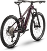 R Raymon Airok Comp 29  floridplum/sulfur S